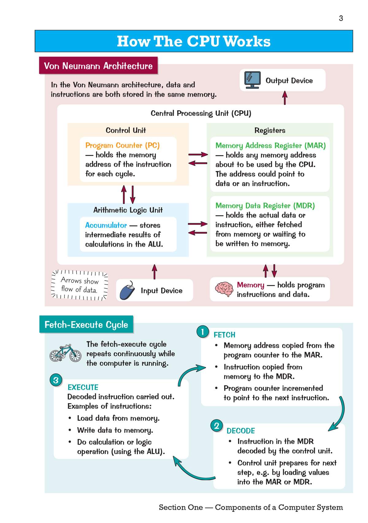 A diagram explains the Von Neumann architecture and the fetch-execute cycle, detailing how a CPU processes instructions