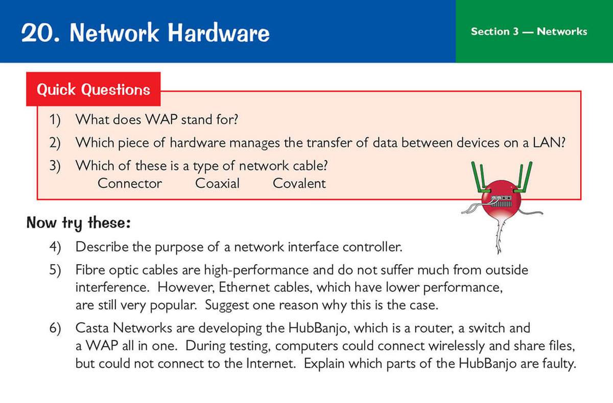 Six questions on network hardware, including multiple choice and short answers, with a cartoon radish character