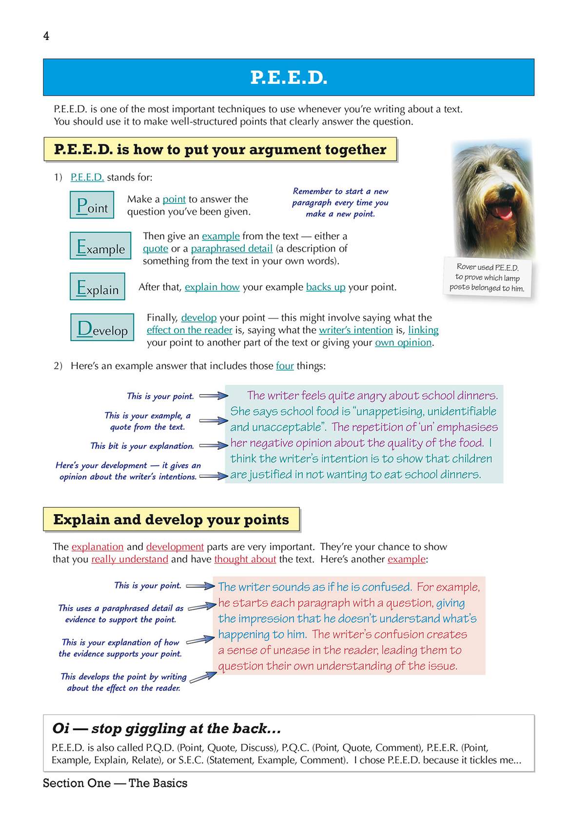 Clear notes on the P.E.E.D. method for structuring essay points, with a worked example and a cartoon dog to make it memorable
