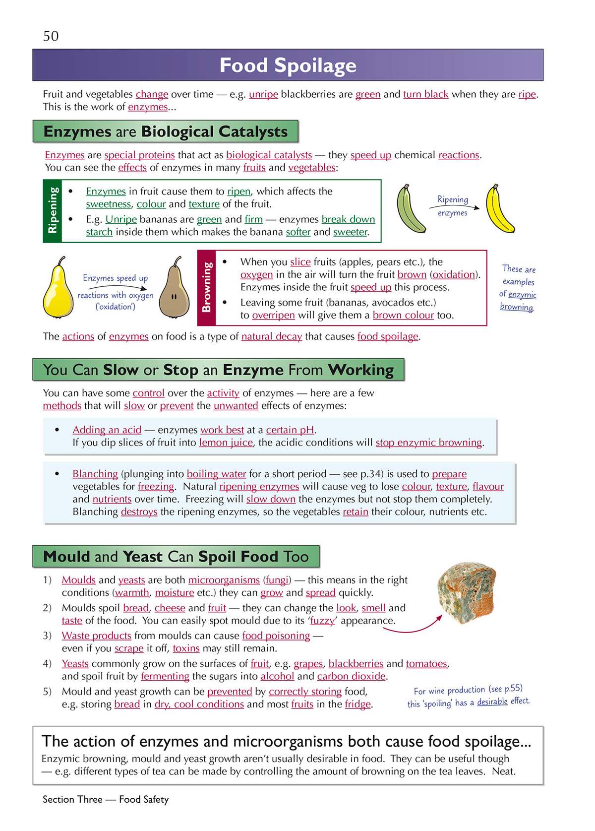 A clear explanation of how enzymes cause food to spoil, with diagrams showing ripening and browning