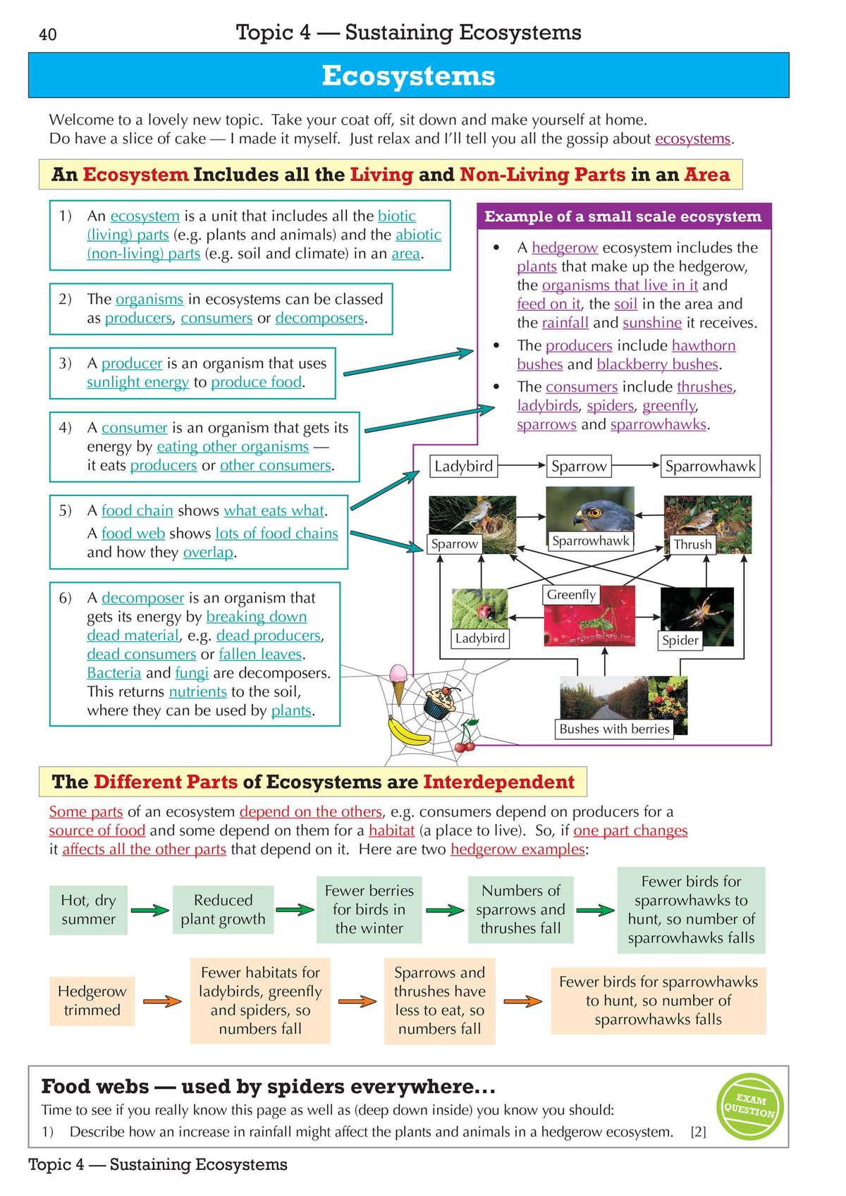 Clear notes on ecosystems with a food web diagram and a short exam-style question to test understanding