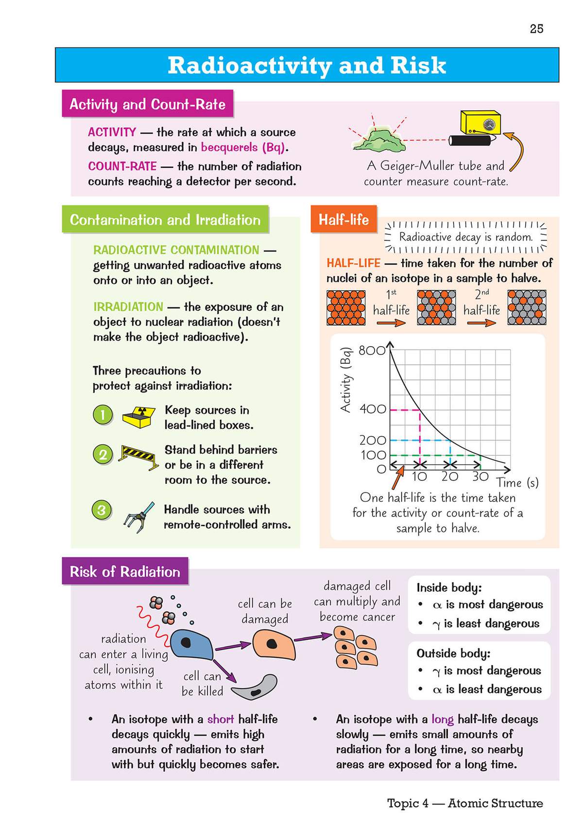 Clear notes on activity, half-life and radiation risks, with diagrams of Geiger counters and decay graphs to explain