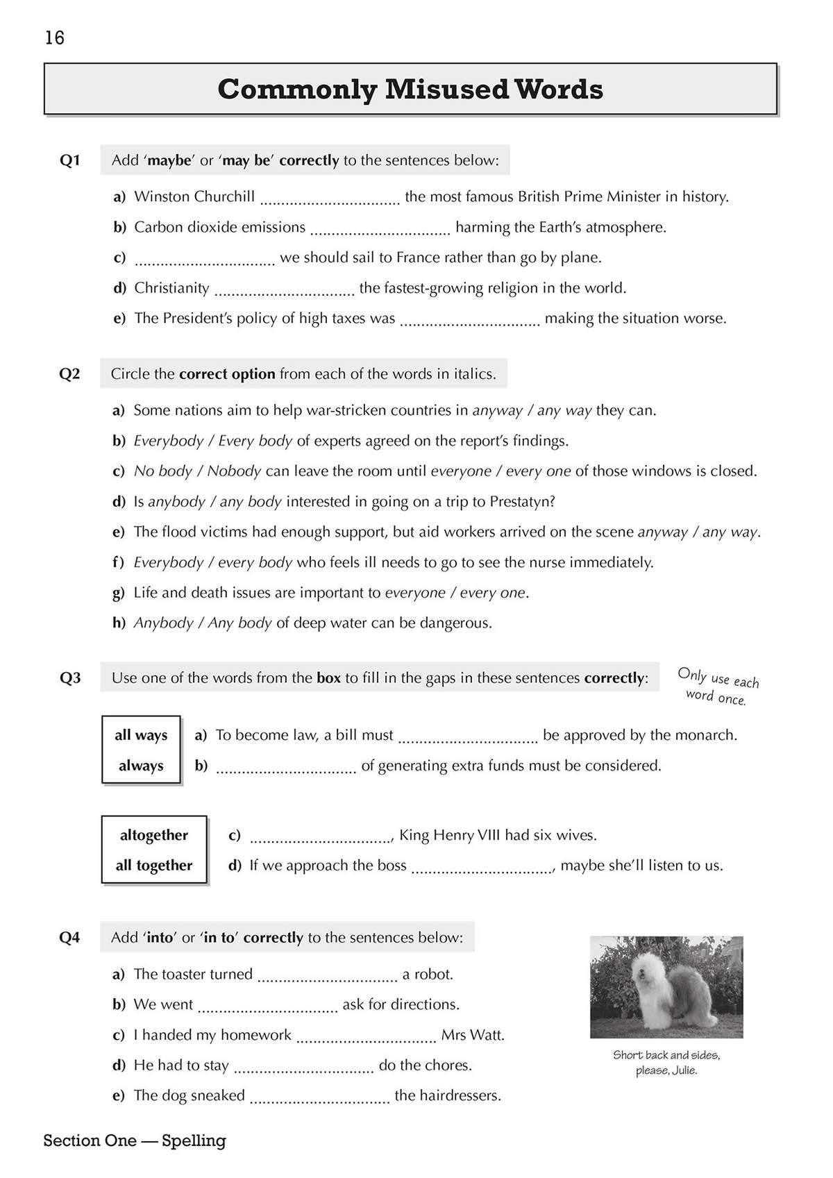 Four exercises on commonly misused words, including fill-in-the-blanks and circling the correct option