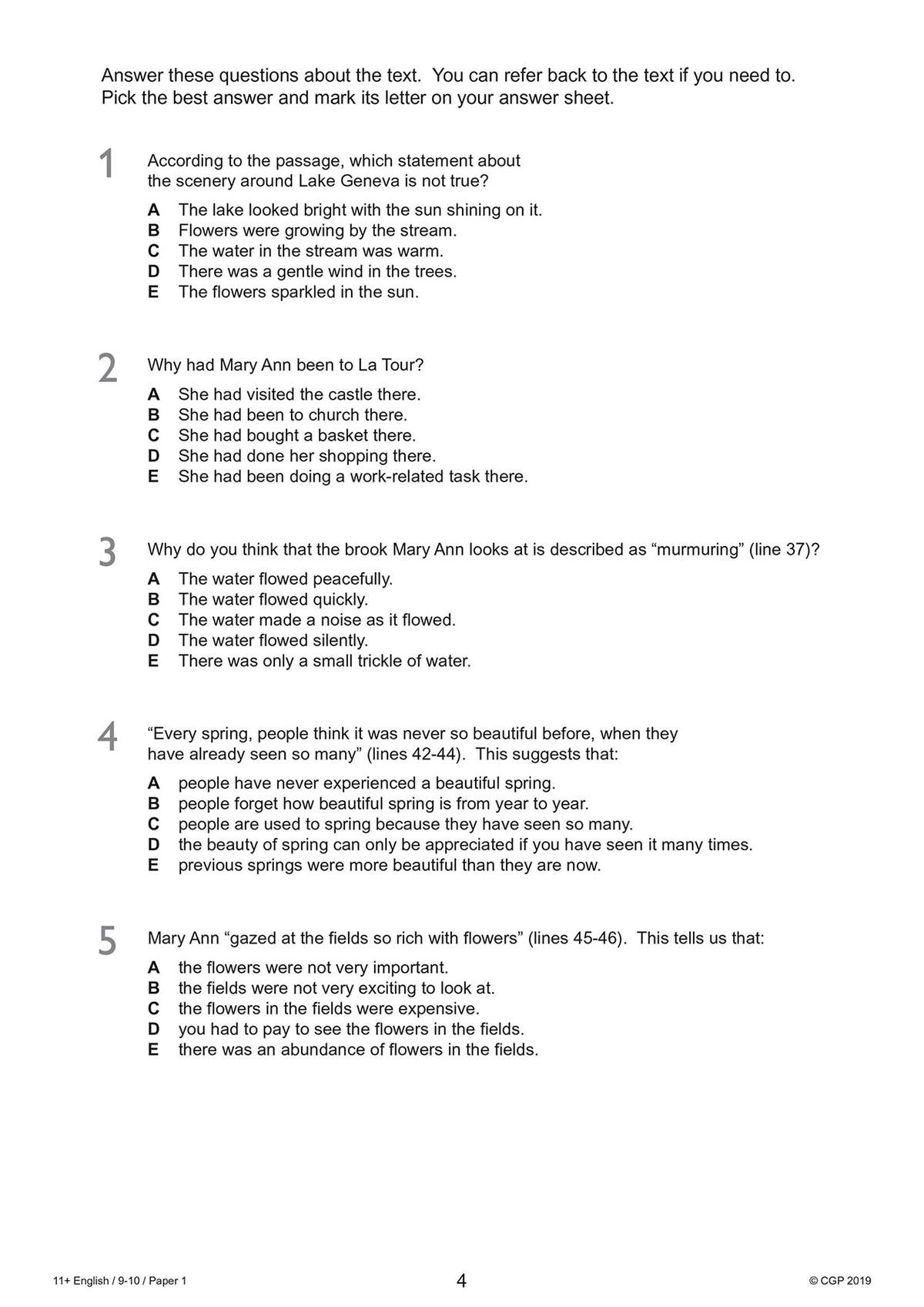 Five multiple-choice questions test understanding of a reading passage about Mary Ann and Lake Geneva