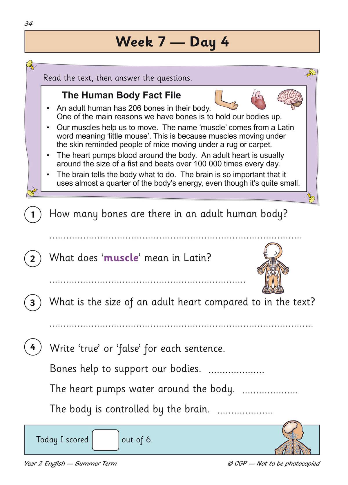 Children read a short text about the human body and answer four questions, including true or false statements