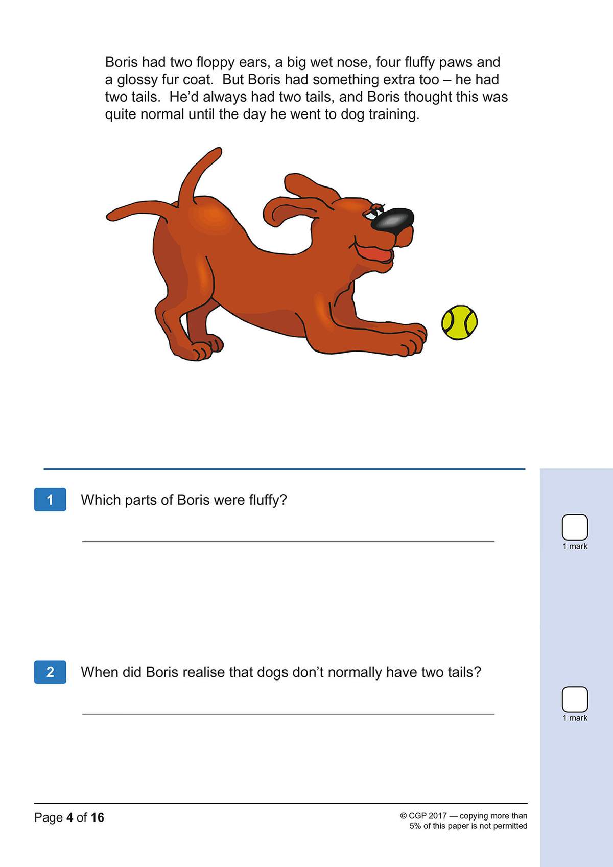 A short story about a dog named Boris with two tails, followed by two short questions to test reading comprehension