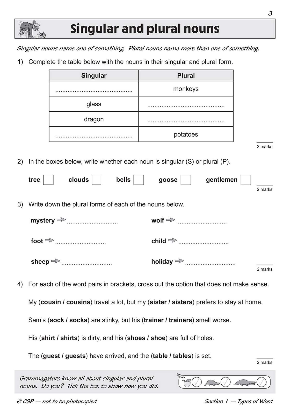 Children complete a table, write singular and plural forms, and circle correct options to master noun forms