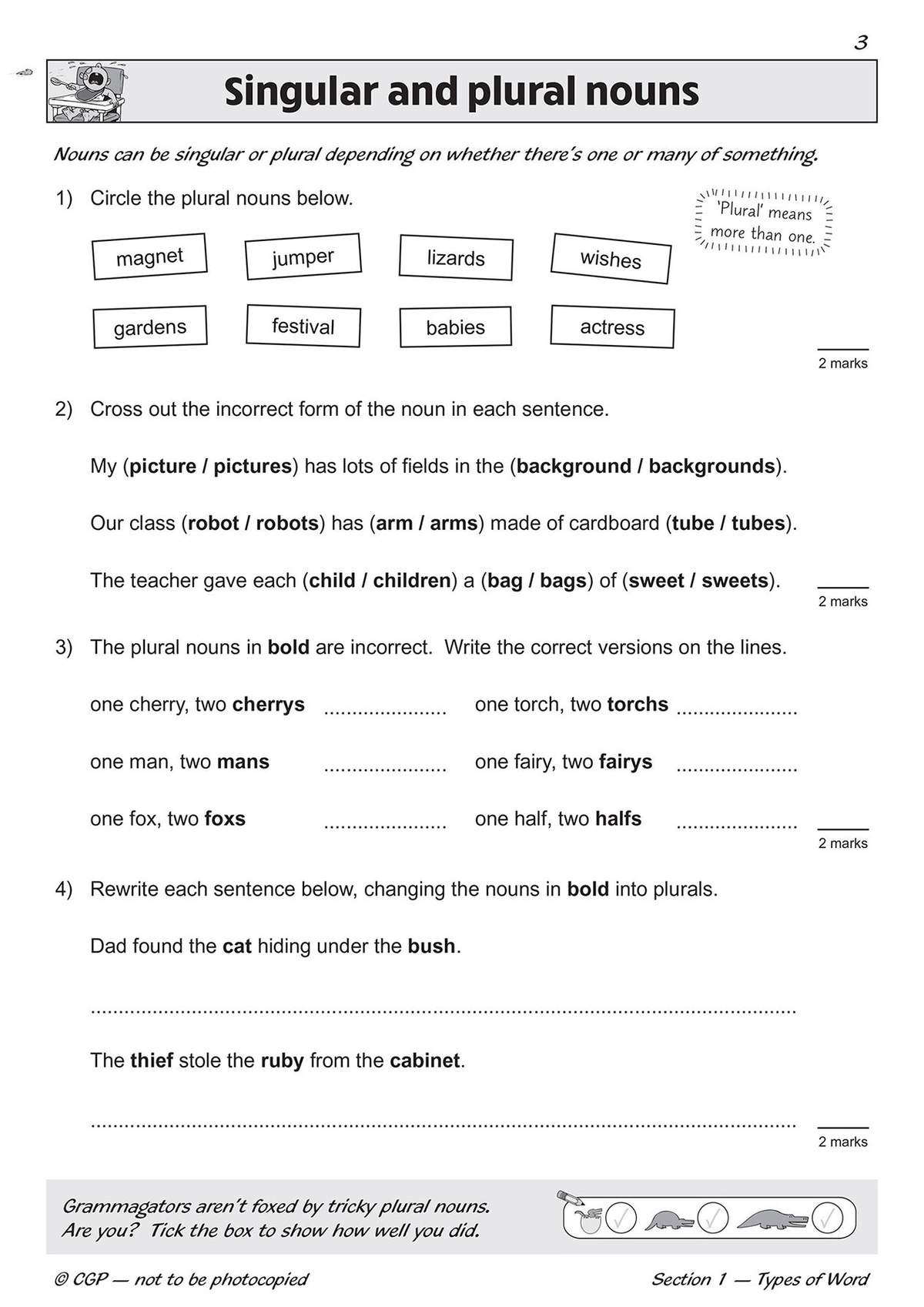 Children circle plural nouns, cross out incorrect forms, correct errors, and rewrite sentences to practise singular