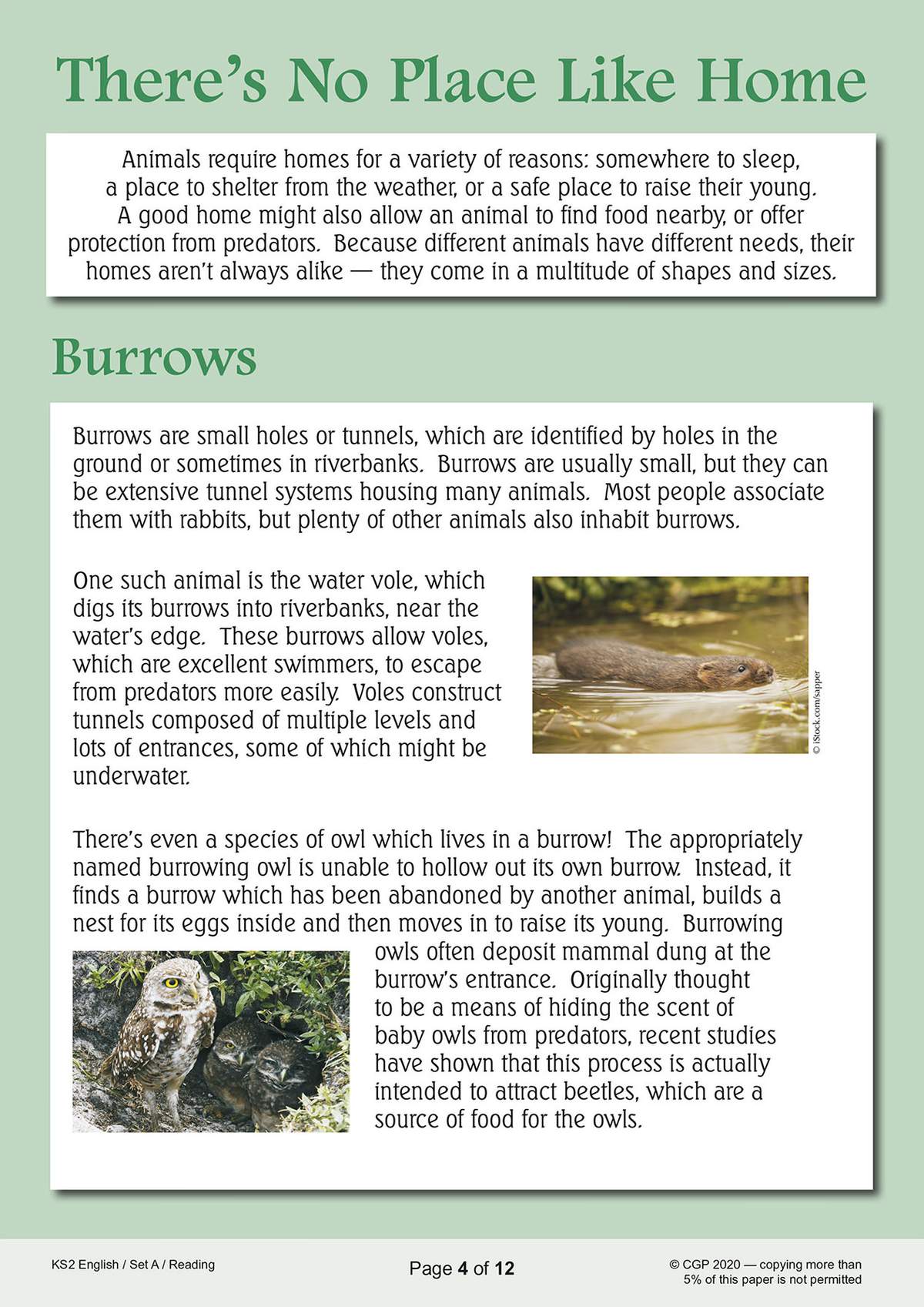 A reading passage about animal burrows, featuring photos of a water vole and a burrowing owl
