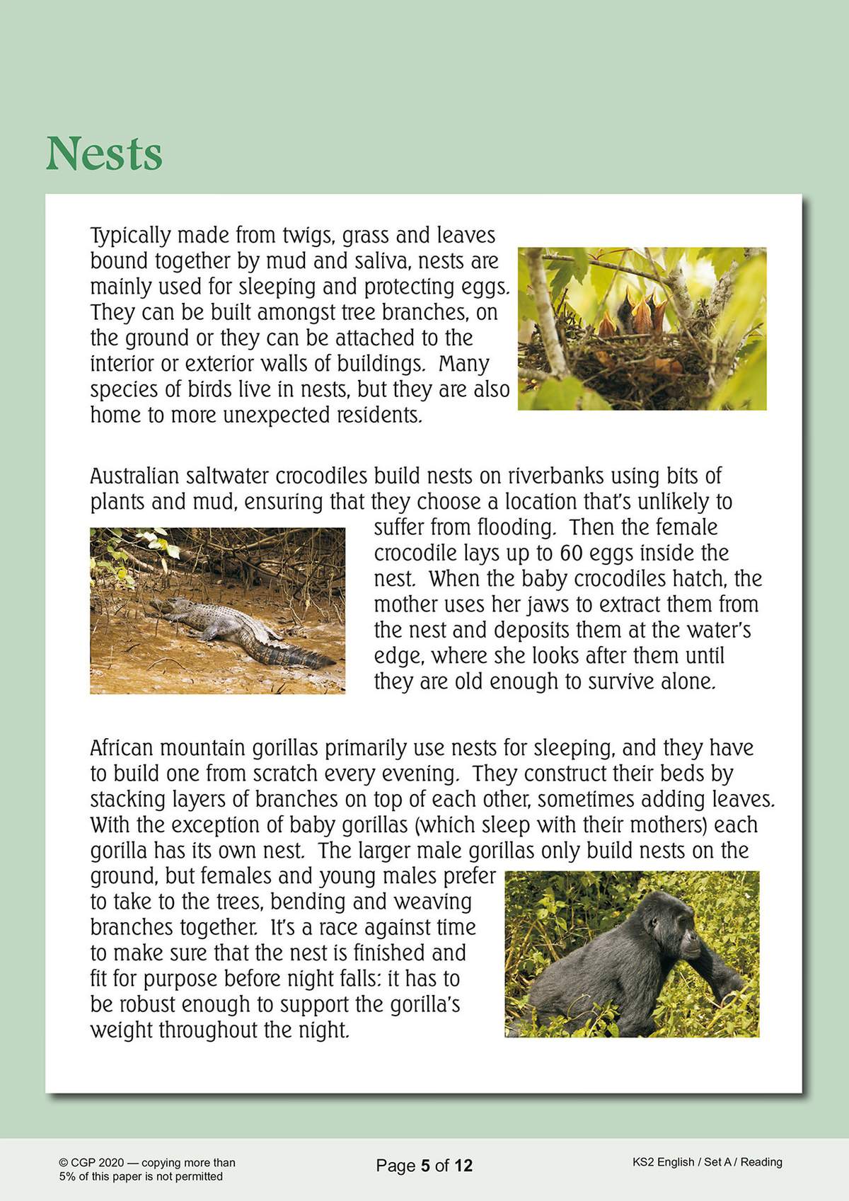 A reading passage about how different animals build nests, accompanied by three photographs of birds, crocodiles and gorillas