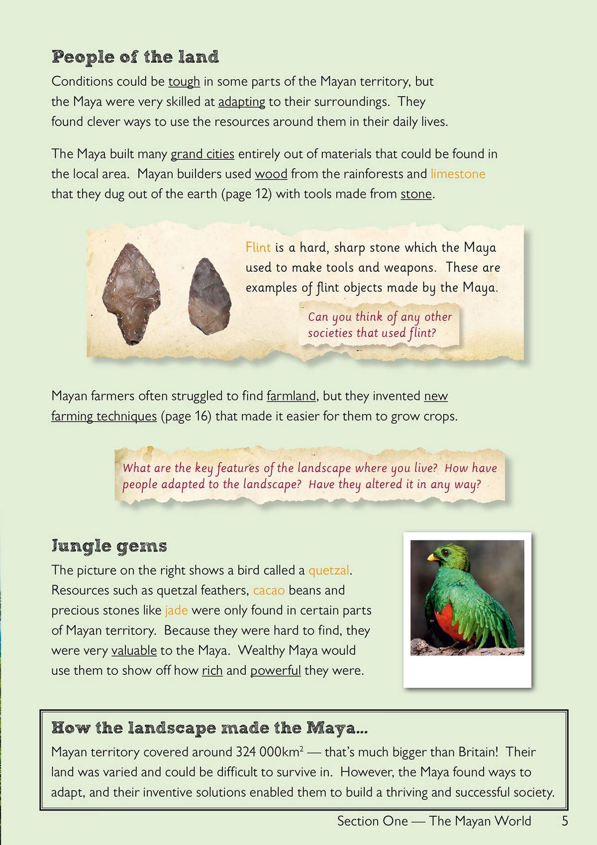 A page explaining how the Maya adapted to their environment, with a photo of a quetzal bird and two reflection questions