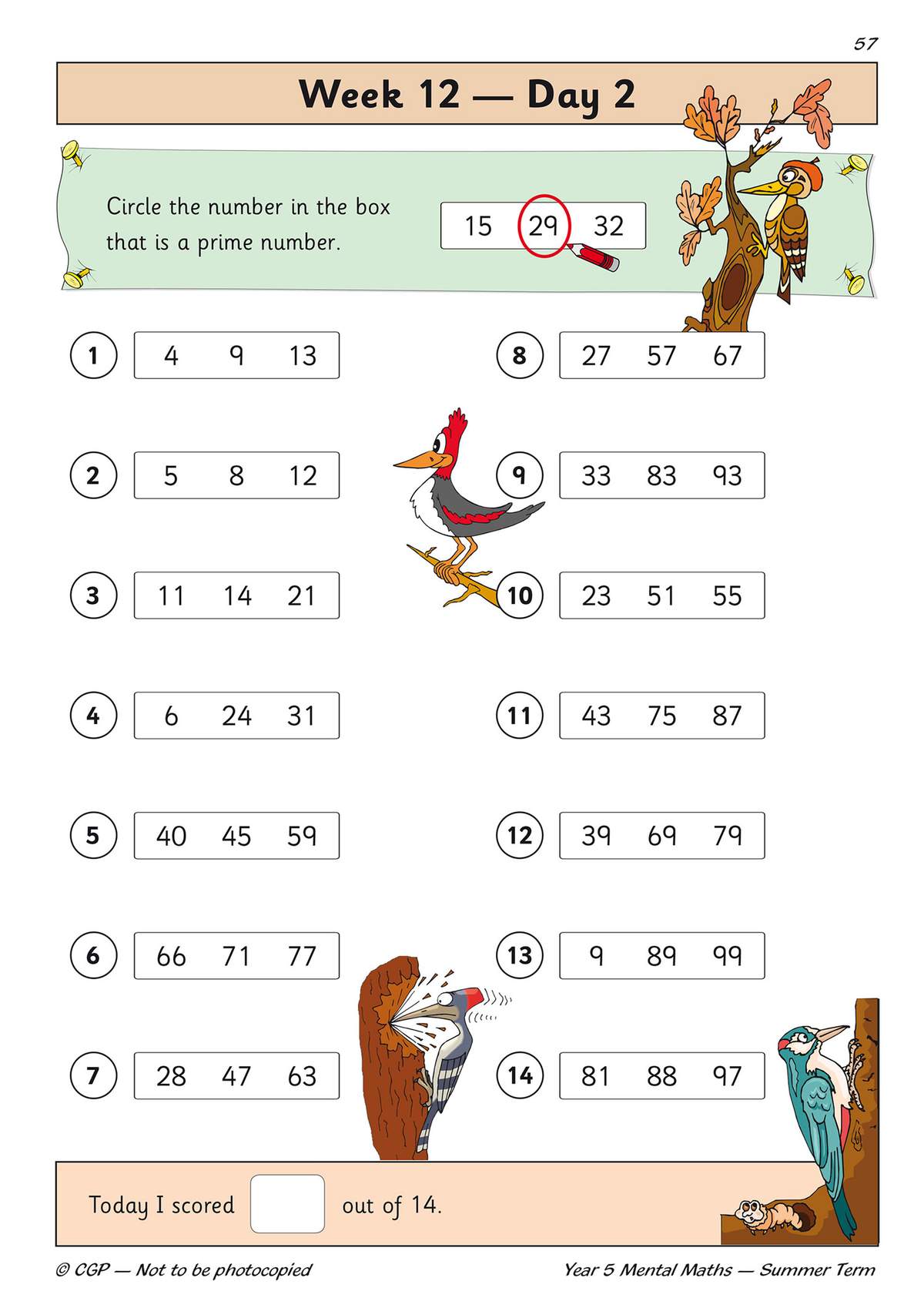 Fourteen questions ask children to circle the prime number from three options, with a score box at the bottom