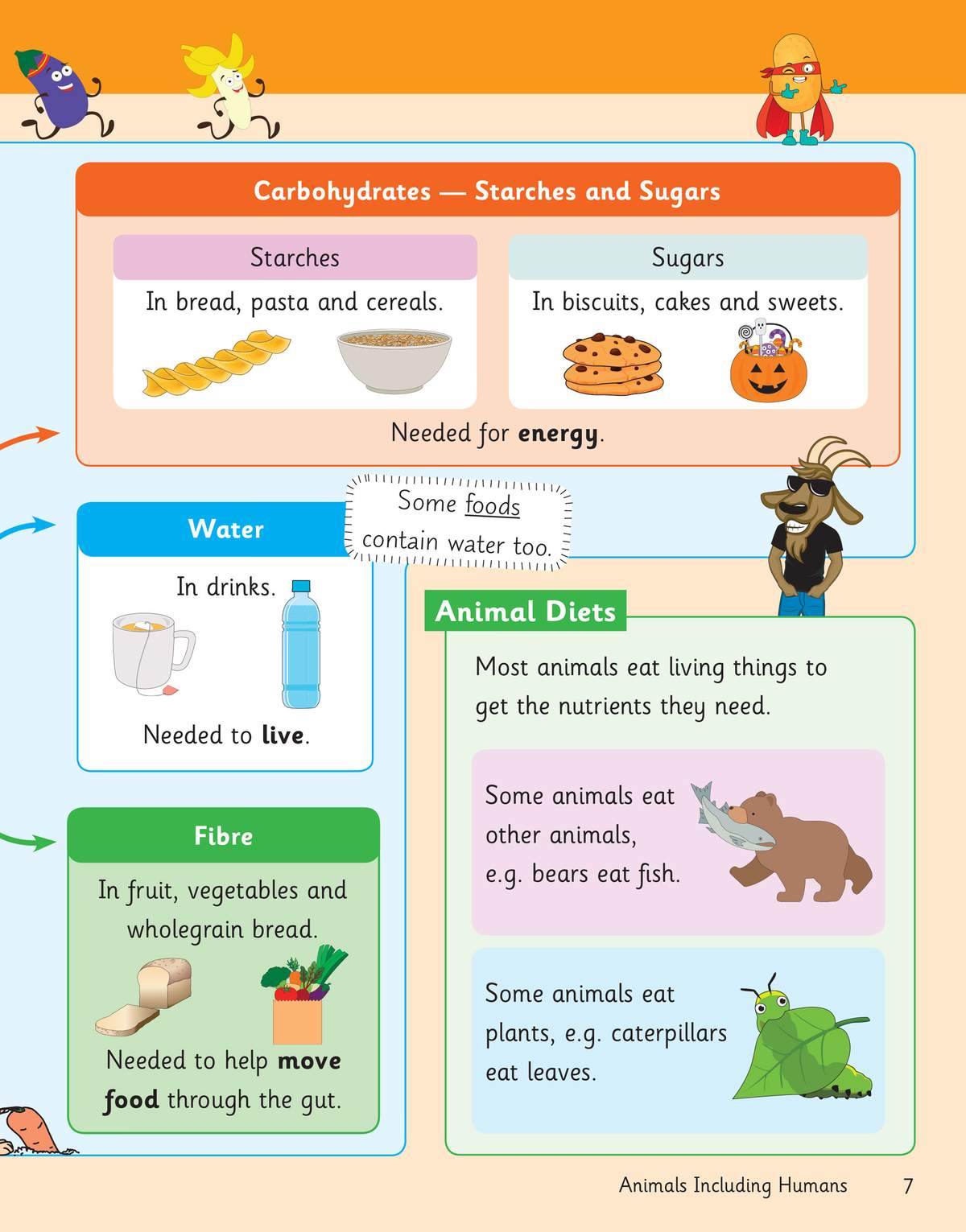 A colourful revision page explaining starches, sugars, water, fibre and animal diets with cartoon illustrations