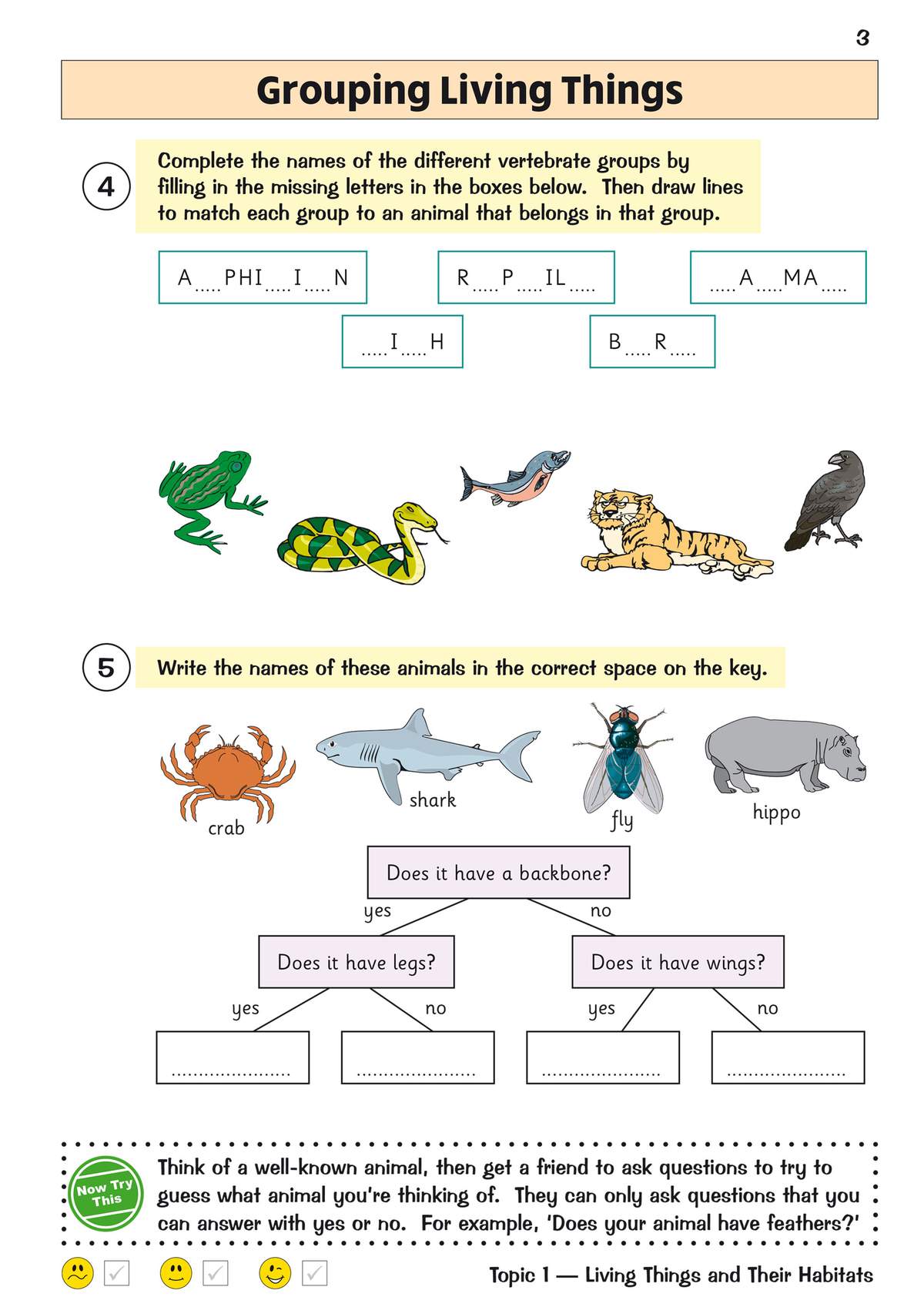 Children complete vertebrate names, match groups to animals, sort creatures into a key and play a 20 questions game
