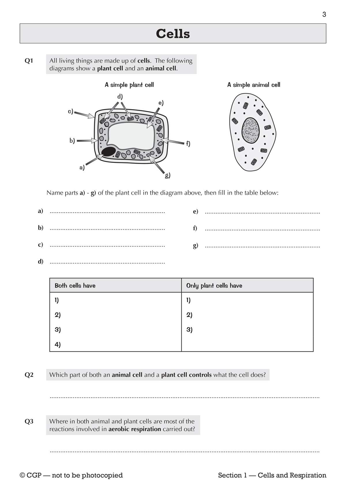 Pupils label parts of a plant cell diagram, compare plant and animal cells in a table