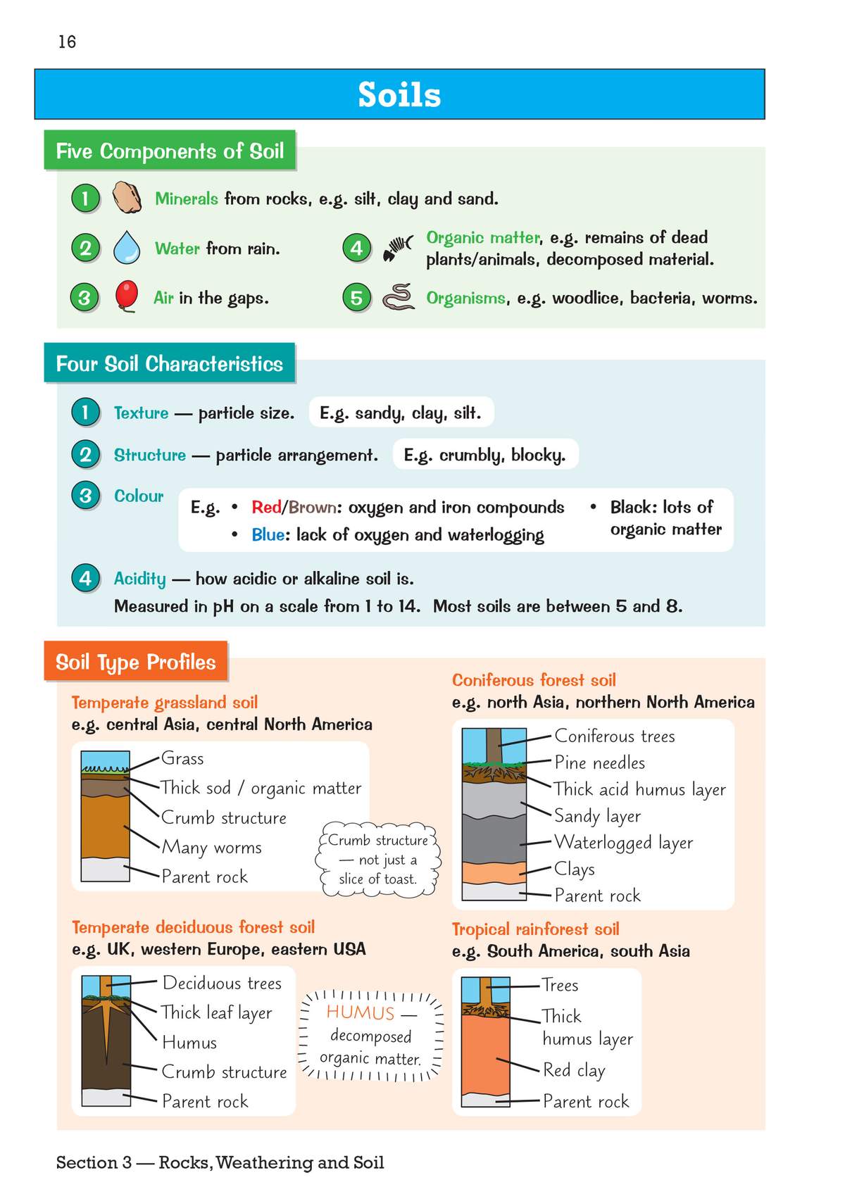 A clear explanation of soil components and four characteristics, with labelled diagrams of four different soil types