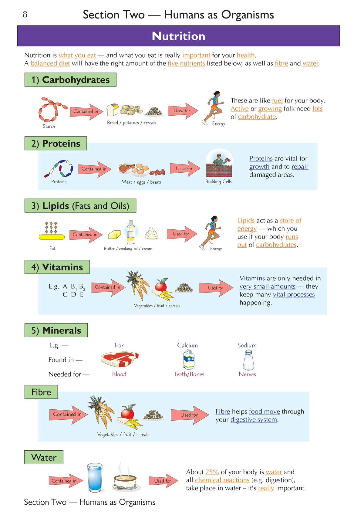 A clear explanation of the five main nutrients, using diagrams to show where they are found and what they do for the body