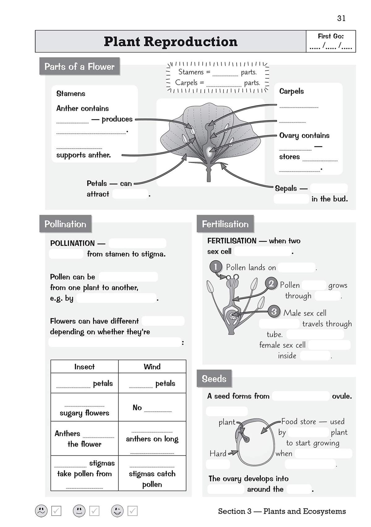 Pupils fill in blanks and label diagrams to learn about flower parts, pollination and fertilisation