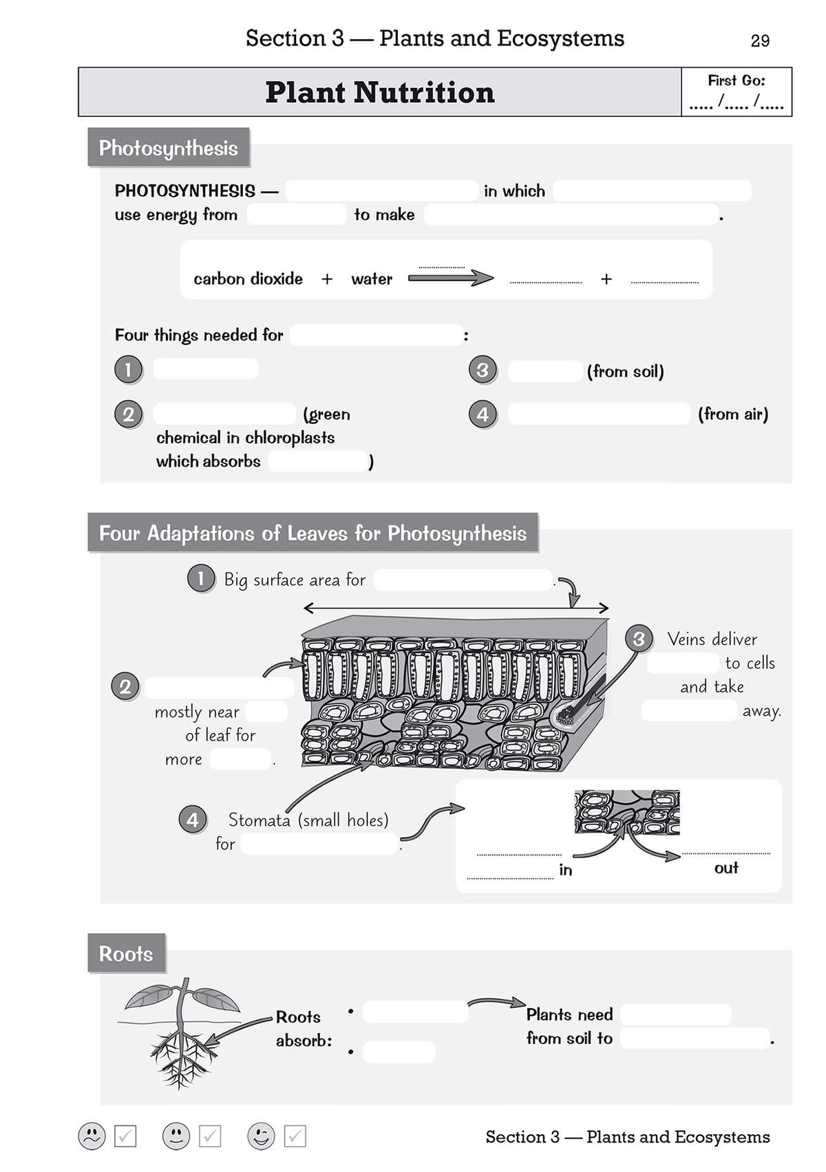 A page explaining photosynthesis and leaf adaptations with diagrams and fill-in-the-blank sentences for revision