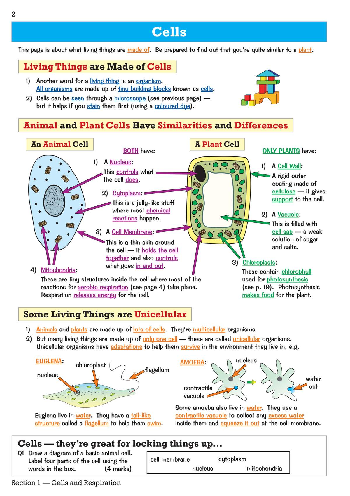 A page explaining cell structures with labelled diagrams of animal and plant cells
