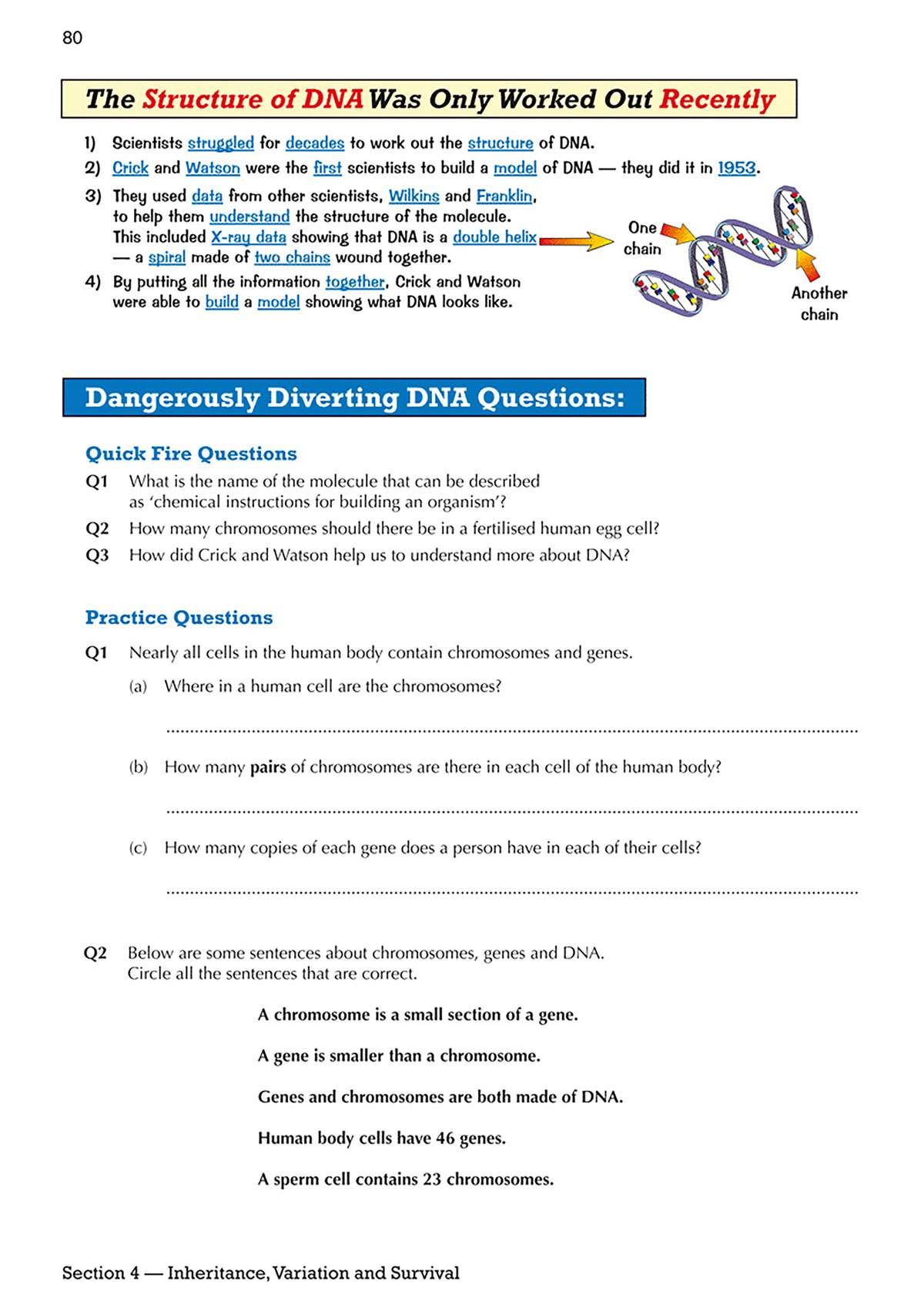 A page with a short text on DNA history, followed by quick fire and practice questions on chromosomes and genes