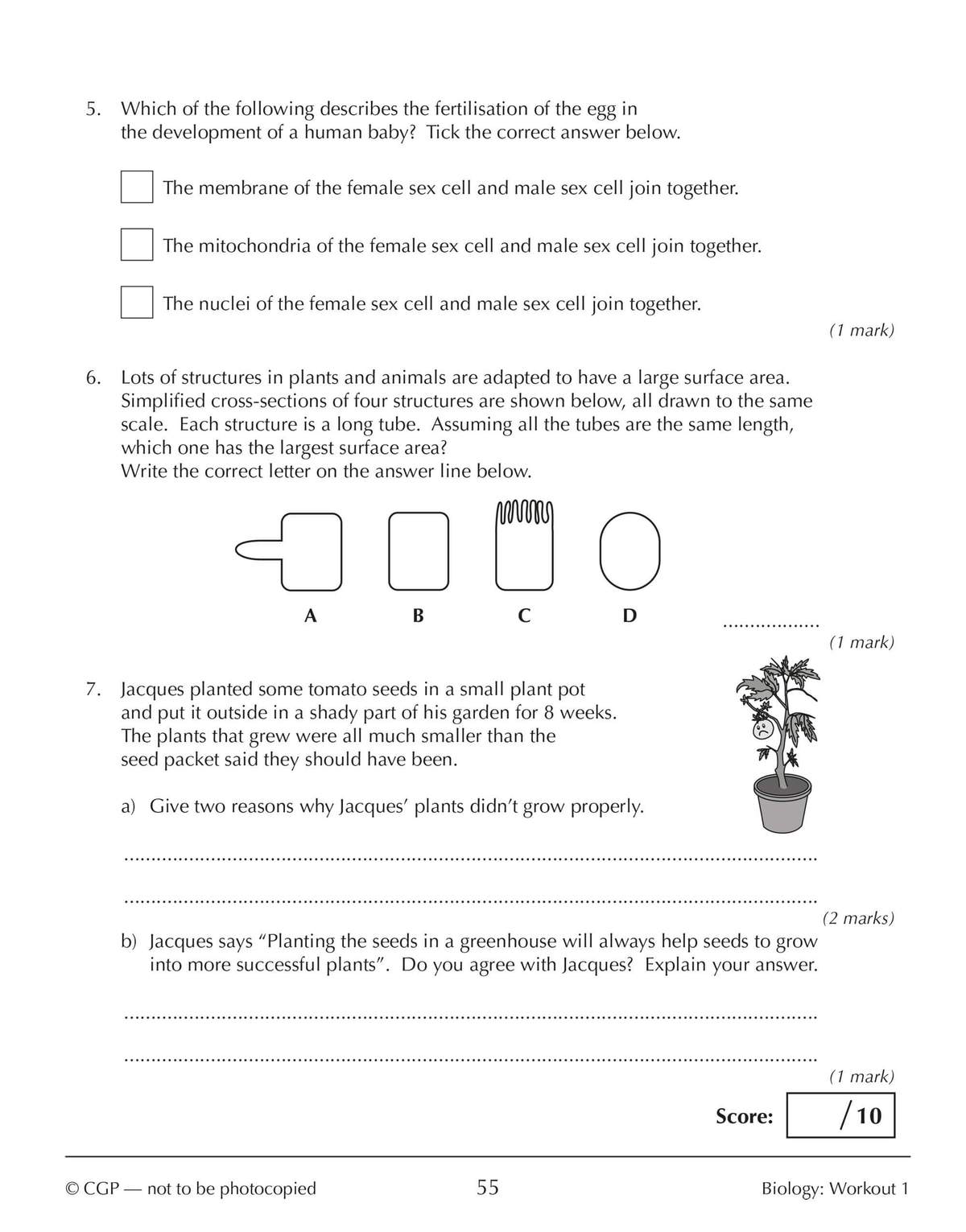 Three biology questions on fertilisation, surface area, and plant growth, with space for written answers and a score box