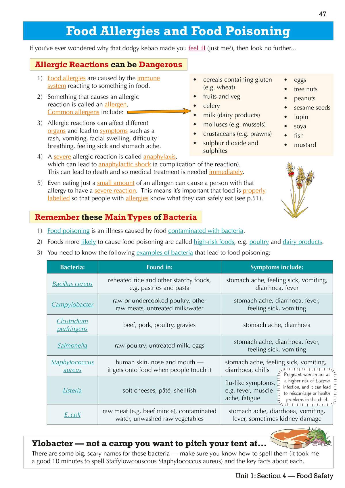 A revision page explaining food allergies and food poisoning, listing common allergens and bacteria with their symptoms