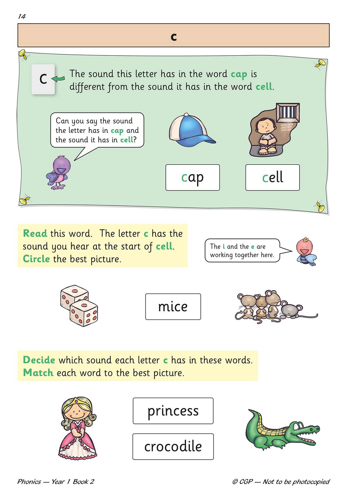 Children circle the best picture for a word and match words to pictures to identify the sound of the letter c