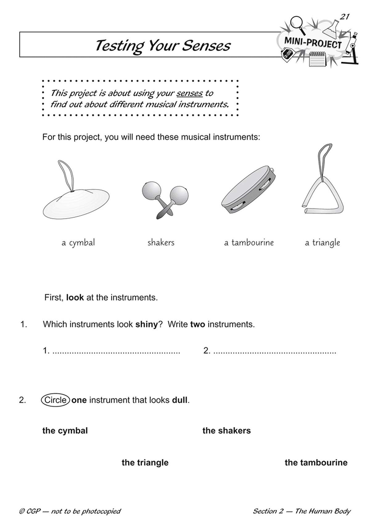 Children identify shiny and dull instruments by writing names and circling the correct choice