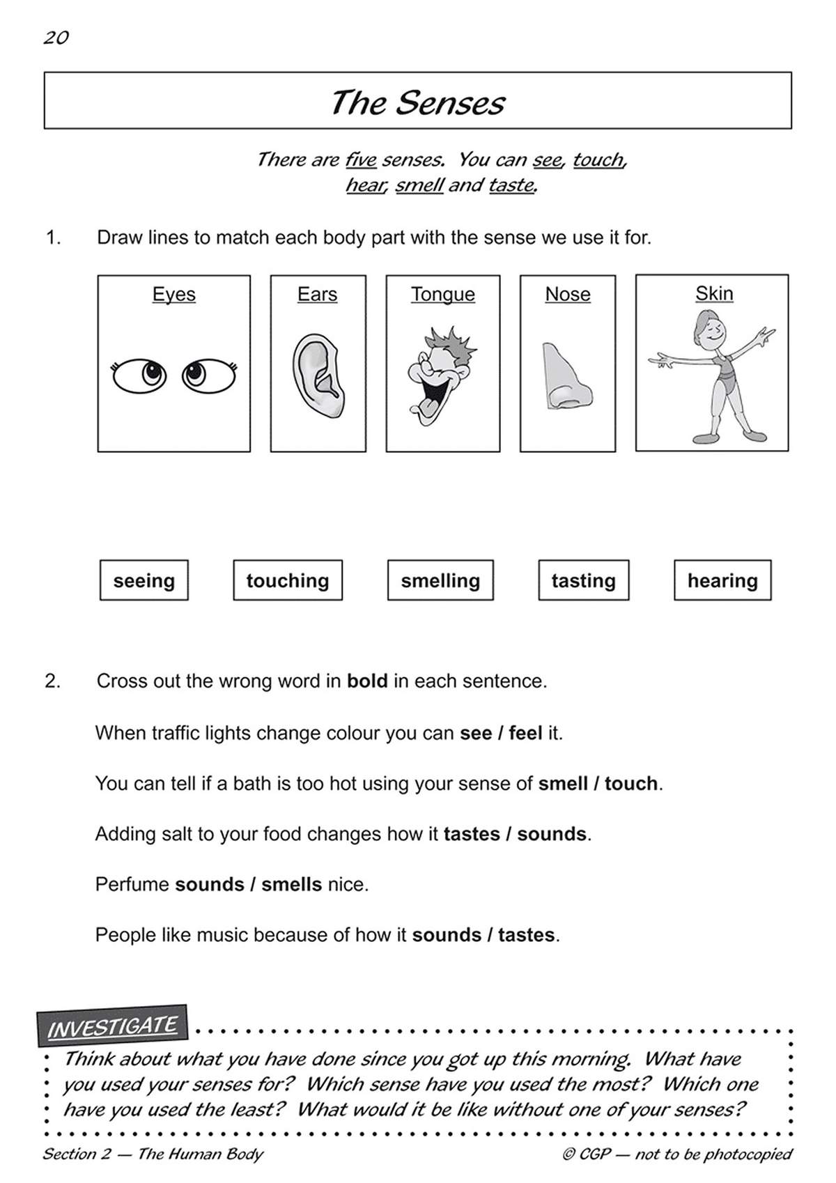 Children match body parts to senses and cross out wrong words in sentences about seeing, hearing, smelling