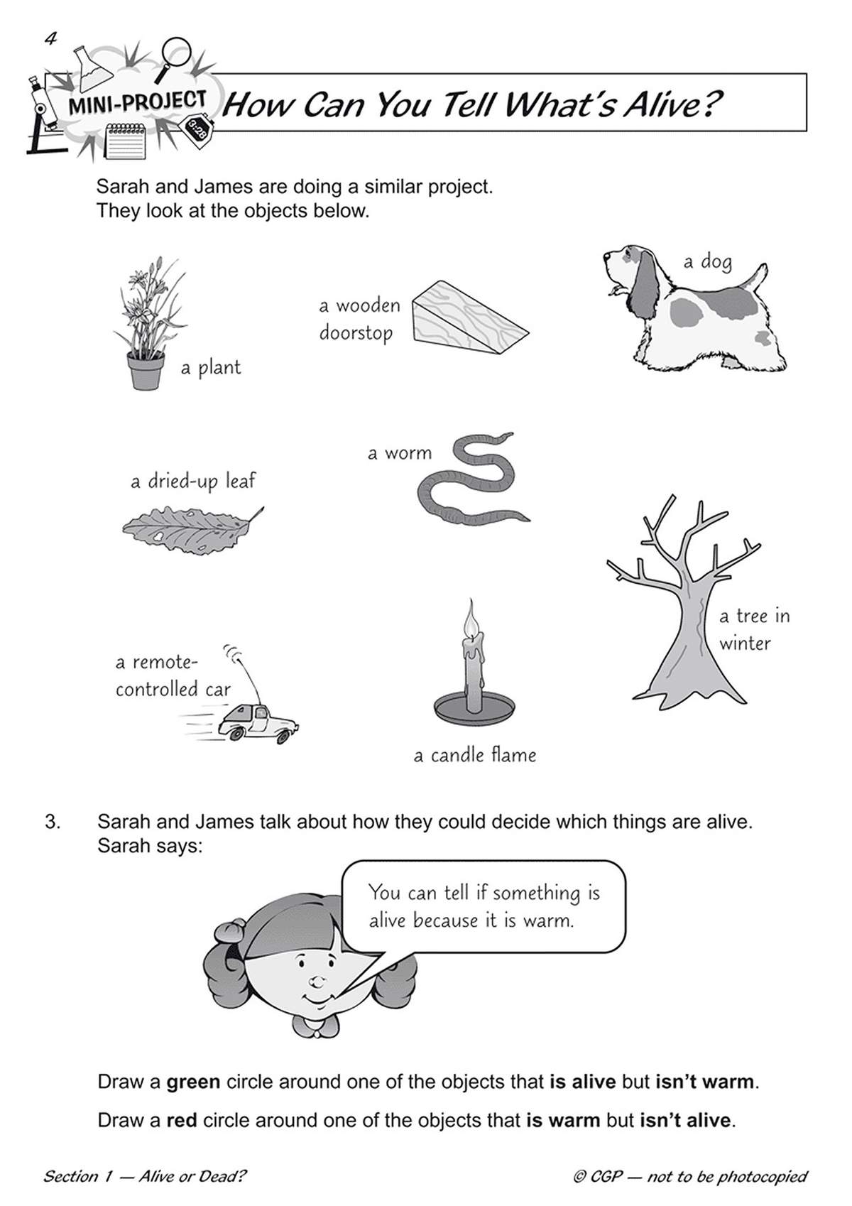 Children circle objects that are alive but not warm, and those that are warm but not alive