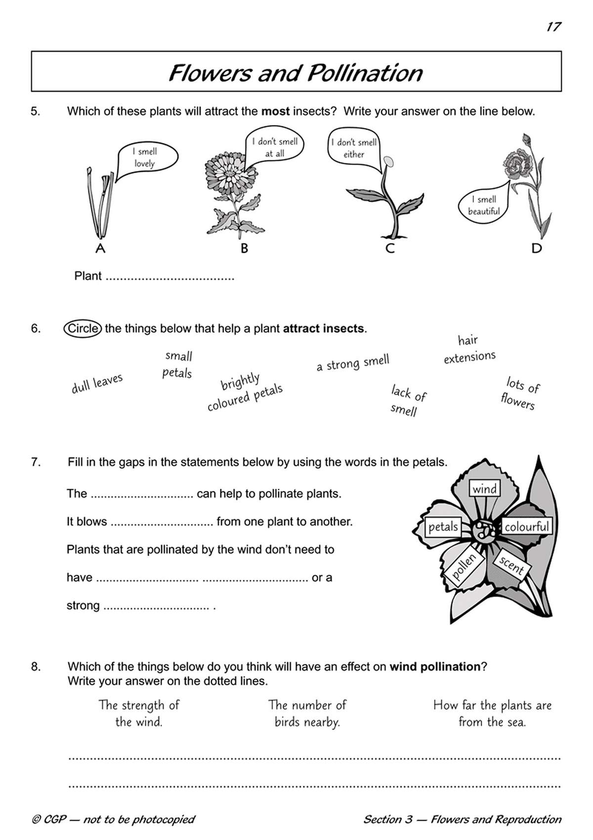 Four questions on flowers and pollination, including circling features that attract insects and filling gaps about wind