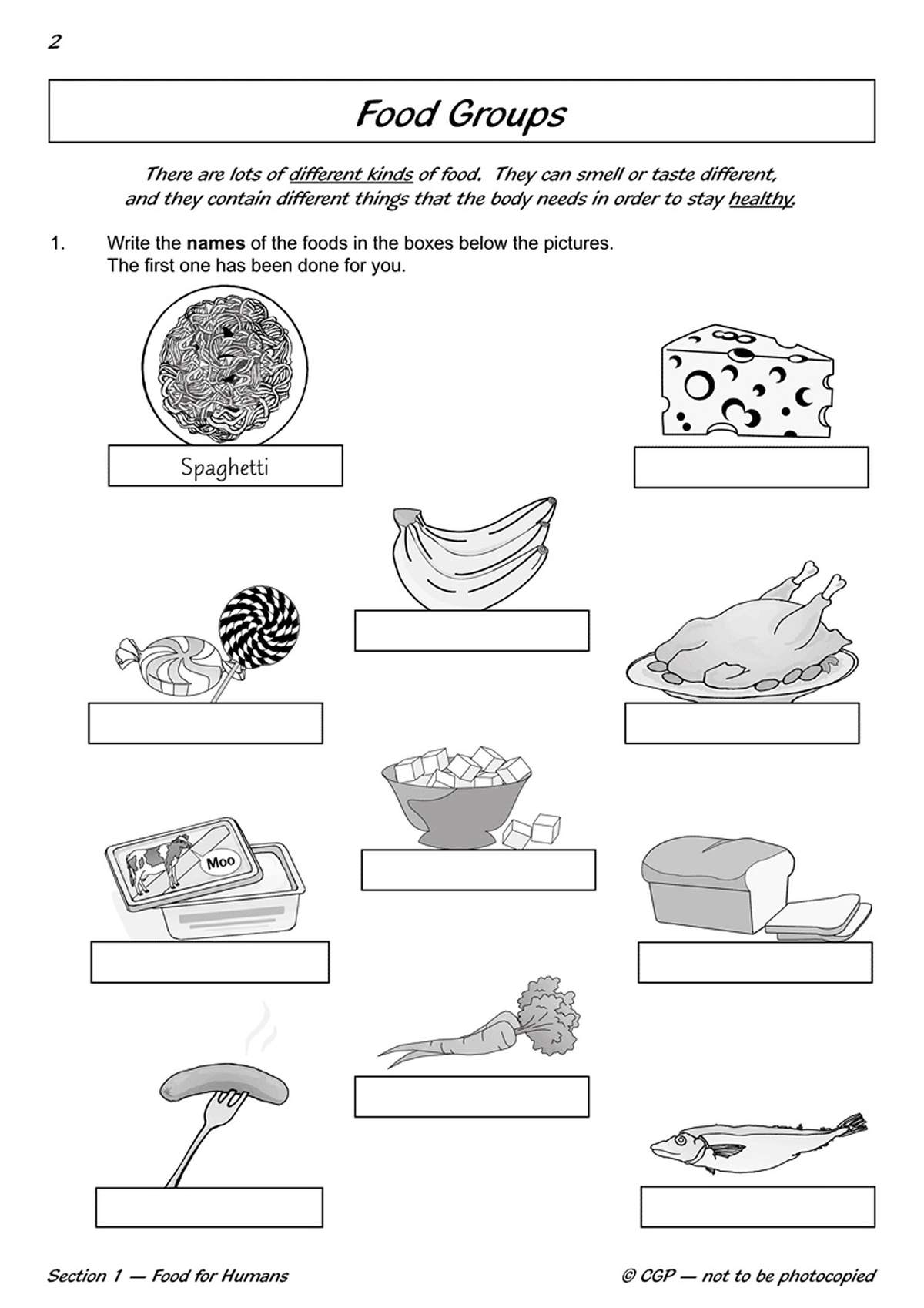 Children write the names of nine foods under pictures, starting with spaghetti, to learn about different food groups