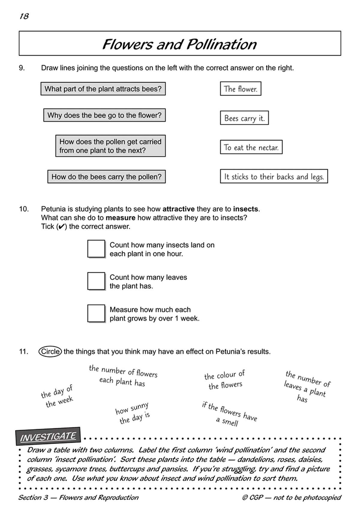 Children match questions to answers, tick the correct option for measuring plant attractiveness