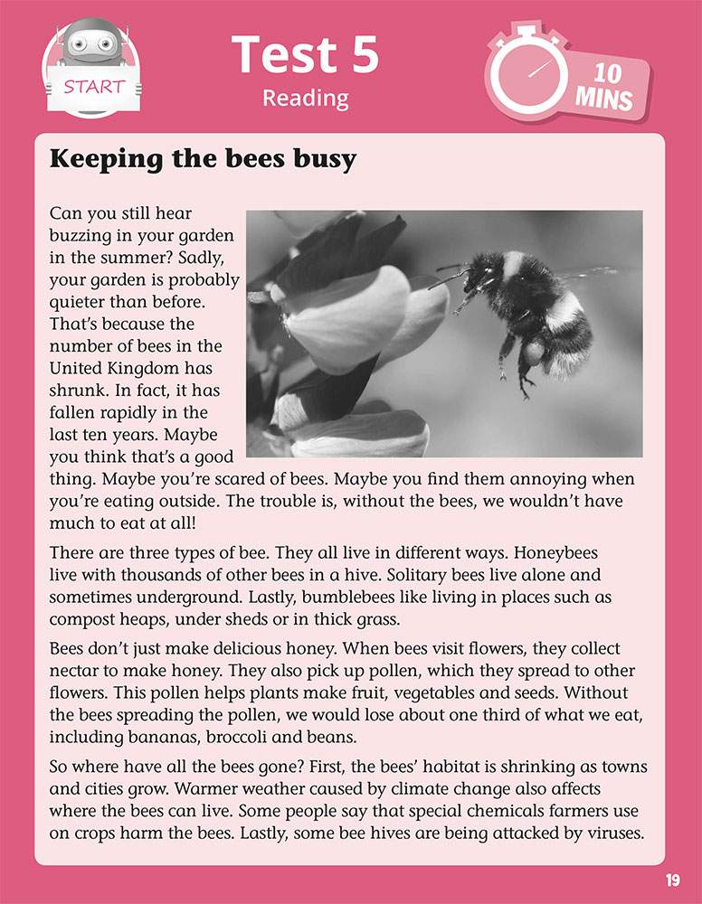 A reading passage about the decline of bees in the UK, explaining their importance and the reasons for their decrease