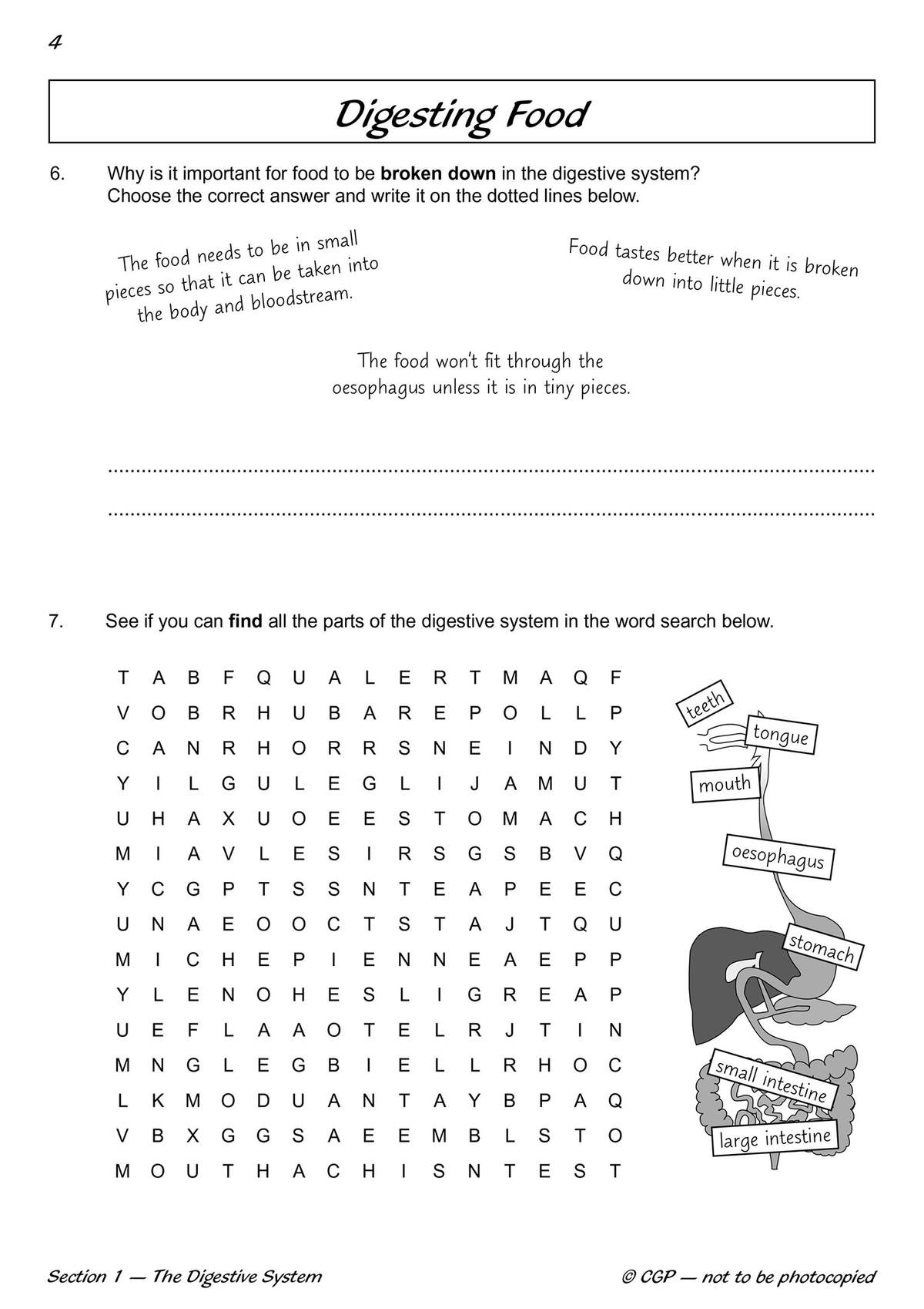 Children choose the correct reason for digestion and then find digestive organs in a word search