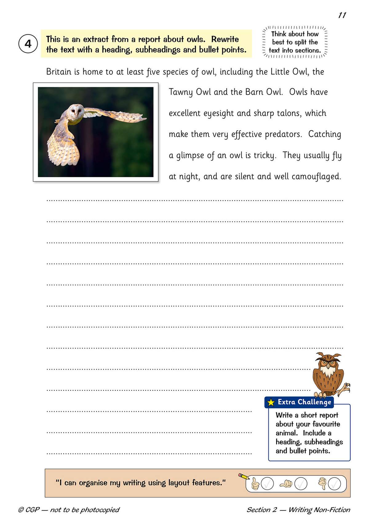 A short text about owls is provided for children to rewrite with headings, subheadings and bullet points