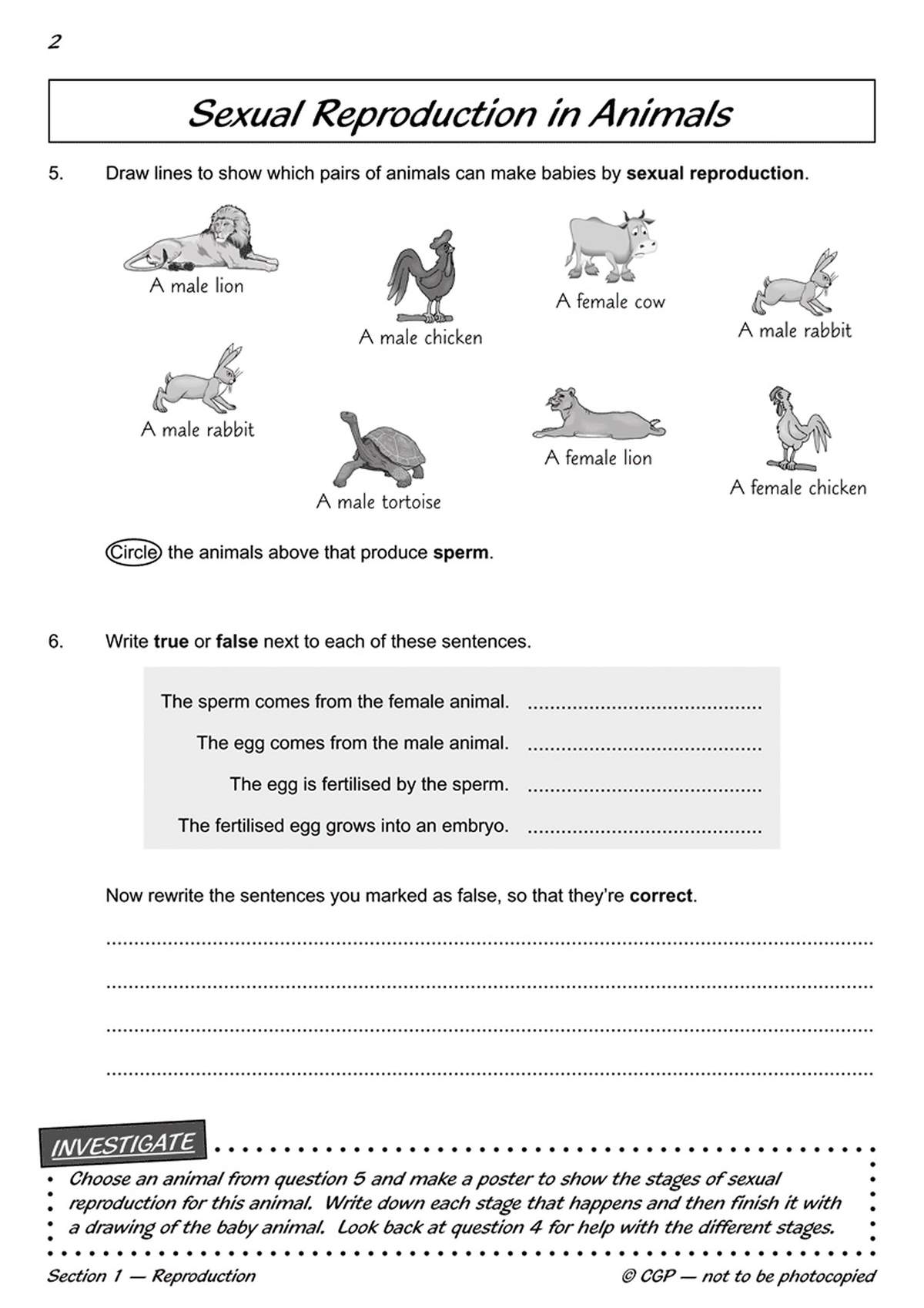 Children draw lines to match male and female animals, circle males, and correct false statements about reproduction