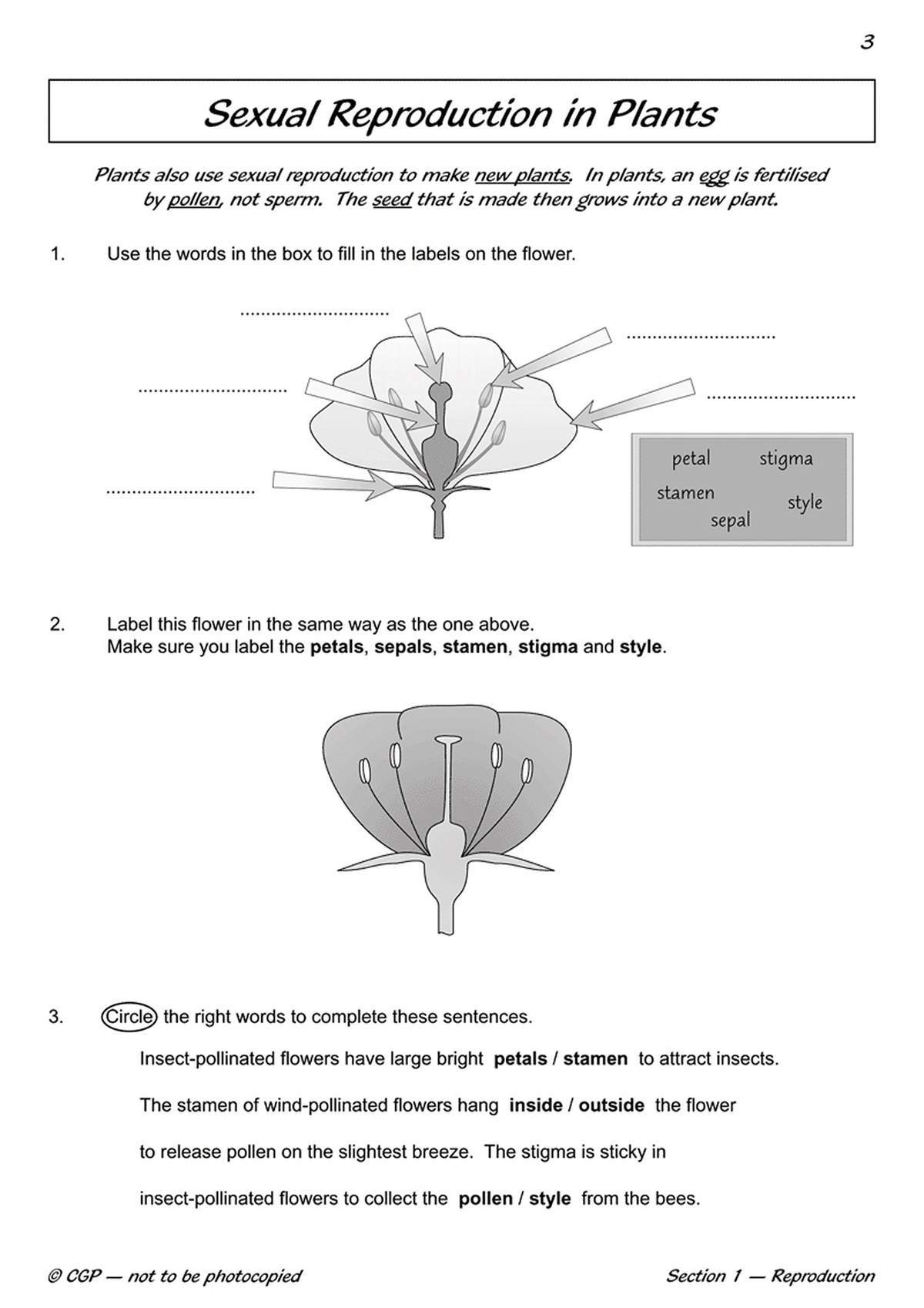 Children label flower diagrams and circle correct words to complete sentences about plant reproduction