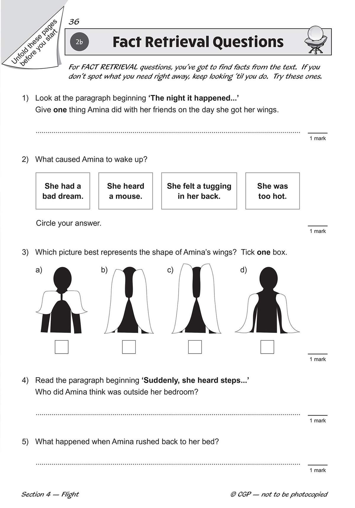 Five questions test reading comprehension and fact retrieval from a story about a girl named Amina