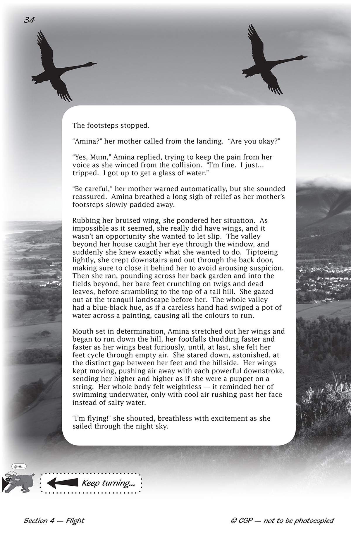 A narrative passage about a girl with wings flying over a valley, set against a black and white landscape