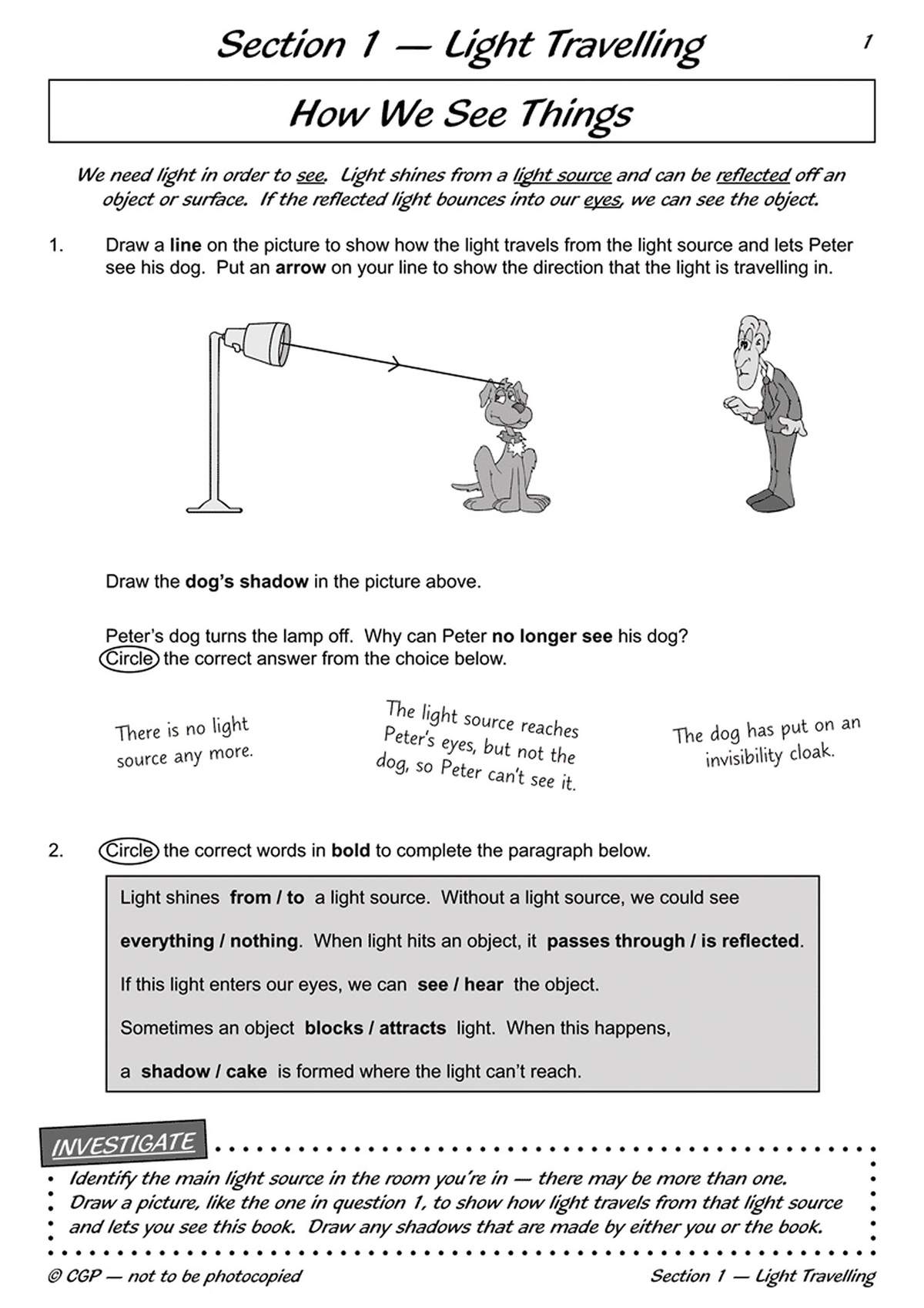 Children draw light paths and shadows, circle correct answers, and complete a paragraph about how we see things
