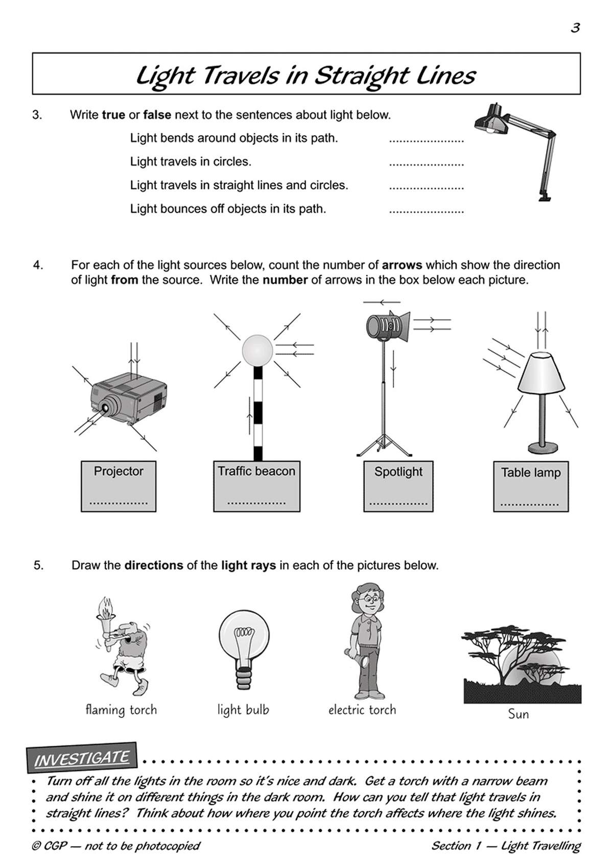 Children write true or false, count arrows on light sources, and draw light ray directions on torches and the sun