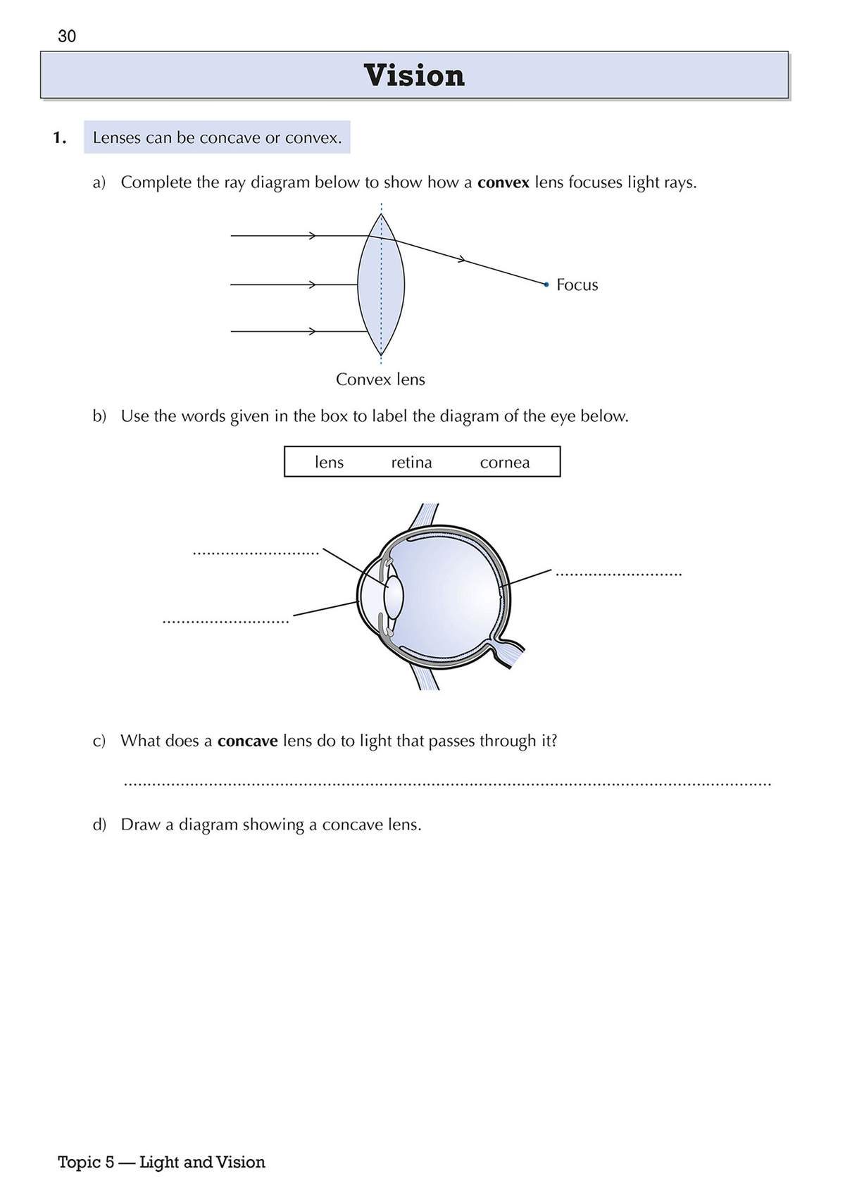 Pupils complete a ray diagram, label an eye diagram, answer a short question and draw a concave lens to learn about vision