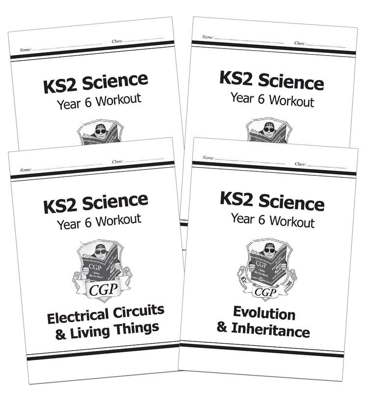 Year 6 Science Workbook Pack (Ages 10-11) Main Image