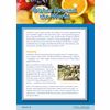 A text explaining how climate and geography influence local dishes, with a photo of olives to illustrate the point