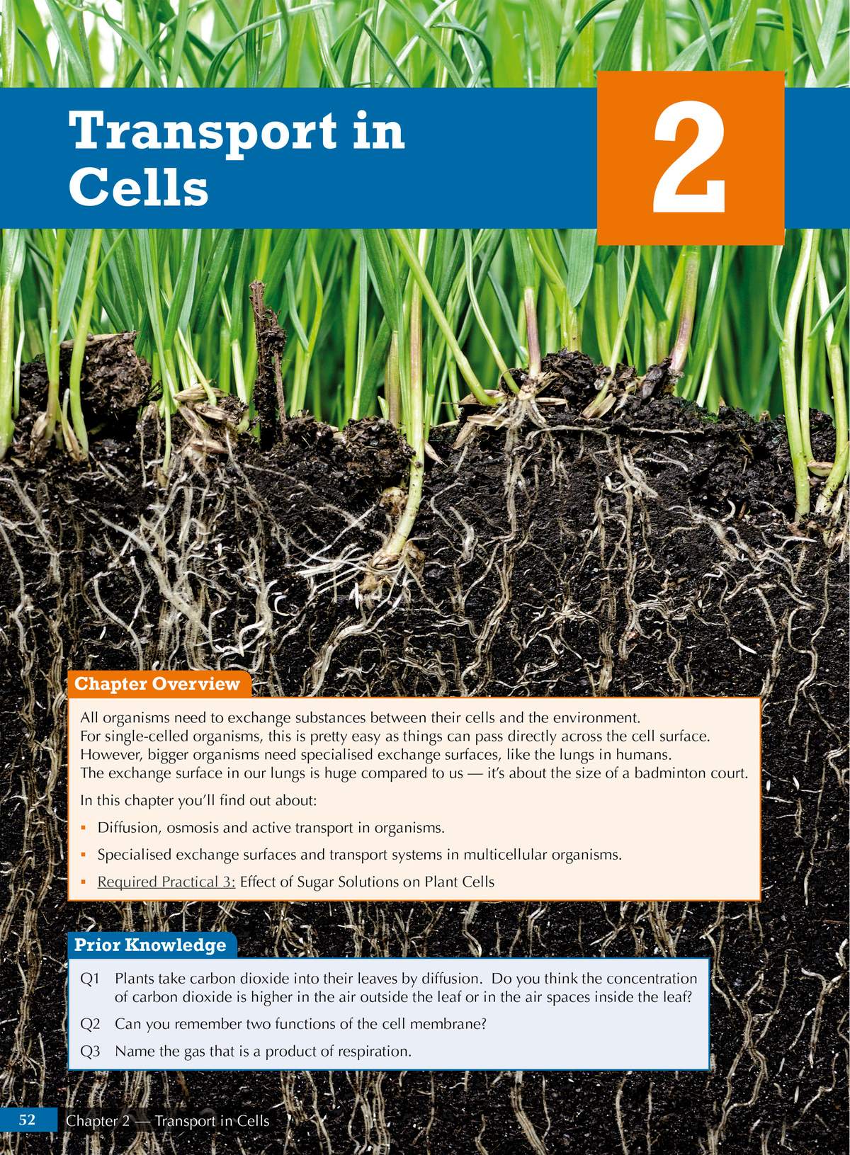 A chapter overview on cell transport with three short questions to check prior knowledge