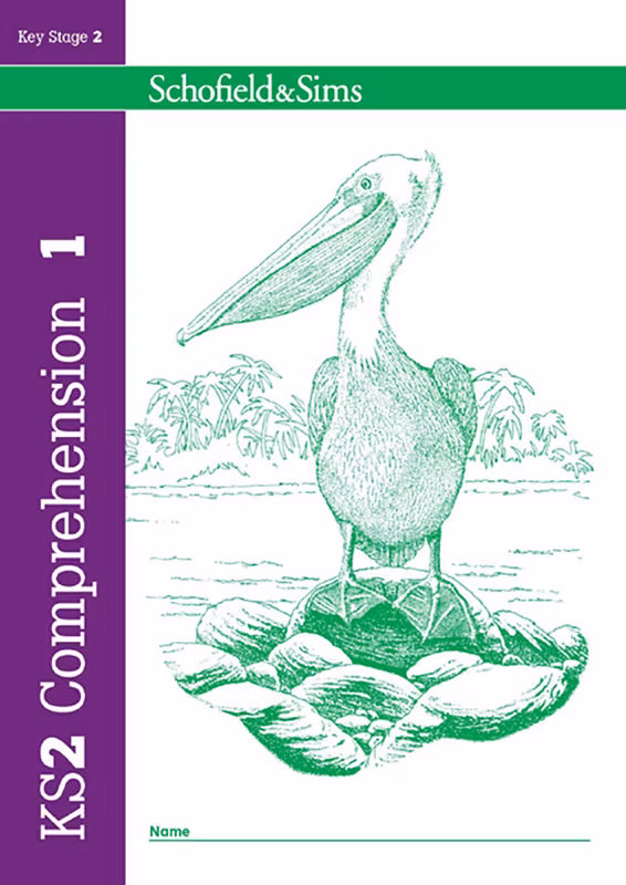 Sample of KS2 Comprehension Workbook Pack Ages 7-11 Schofield & Sims with Answers NEW ()