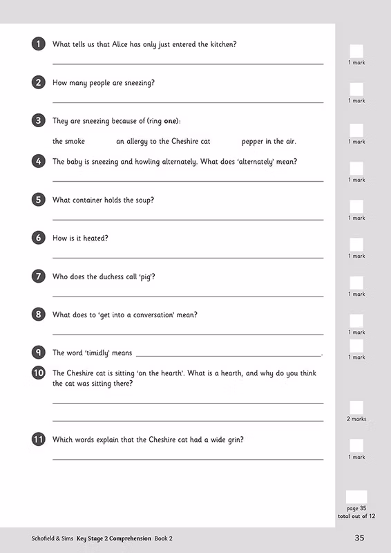 Sample of KS2 Comprehension Workbook Pack Ages 7-11 Schofield & Sims with Answers NEW ()