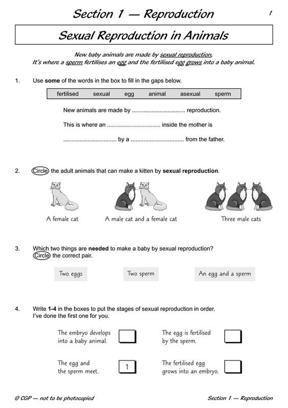 Sample of Year 5 Complete Pack Ages 9-10 CGP Scholastic 15 Books with Answers NEW ()